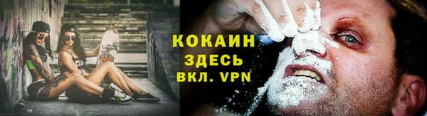 мдпв Володарск