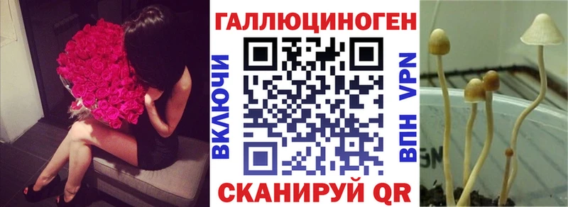 Купить где Липки Галлюциногенные грибы GOLDEN TEACHER